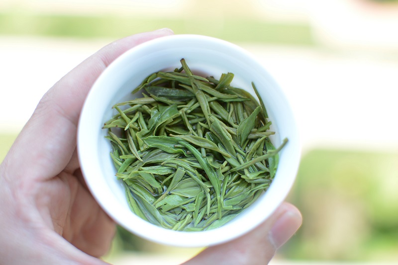 【五云两潭一寨】名山头茶200g雨前中芽2025新茶绿茶信阳毛尖高山茶