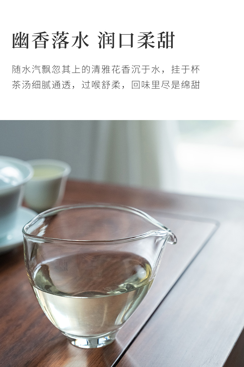 浉牌 2021年信阳白茶·高级润灵芽茶 送礼礼盒茶叶12小泡袋