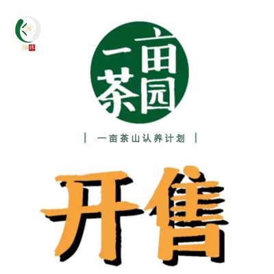 浉牌“一亩茶山“信阳浉河港私人茶园2024年认养金