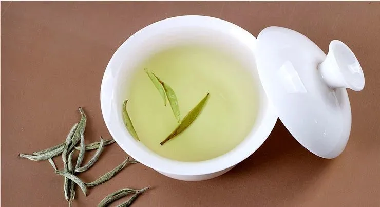 信阳白茶：品味一杯皛芽·信阳白茶，淡如清风