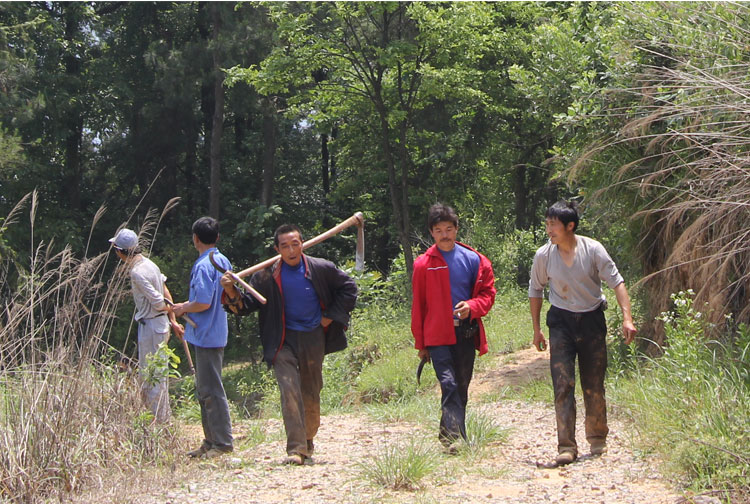 野生葛根粉 农家自制野葛粉 大别山革命老区葛粉正品代餐粉