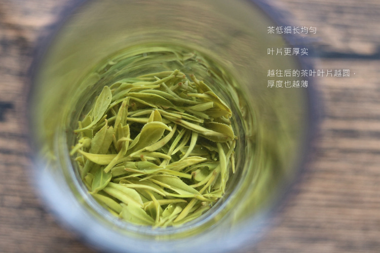 绿茶散装 茶叶批发 信阳毛尖2022新茶谷雨茶500g浉河港茶厂直销