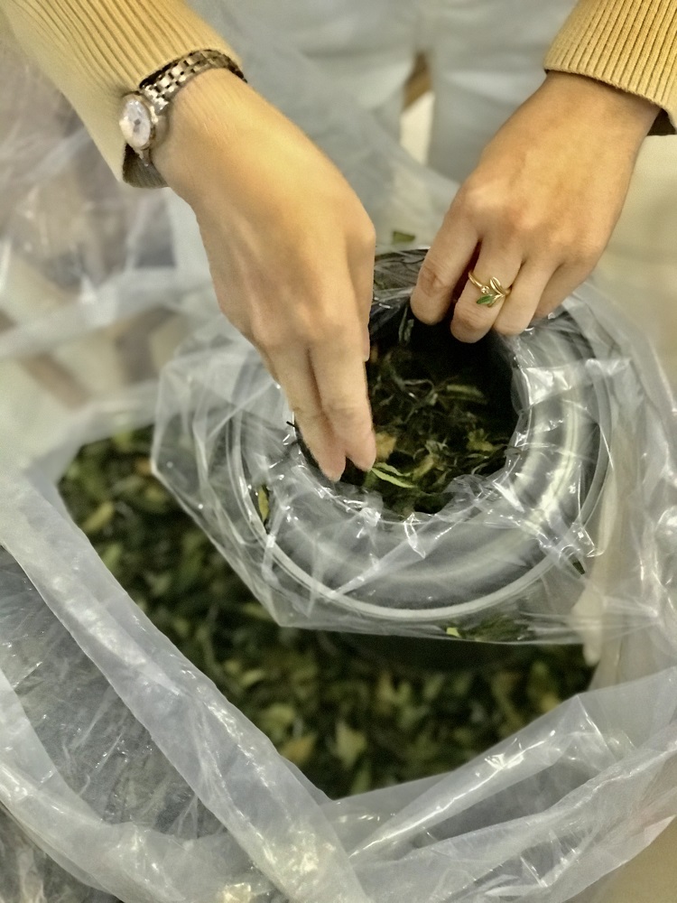 皛芽®信阳白茶2020新茶 秋白茶白露茶铁罐简装 阿里云智慧茶庄园出品