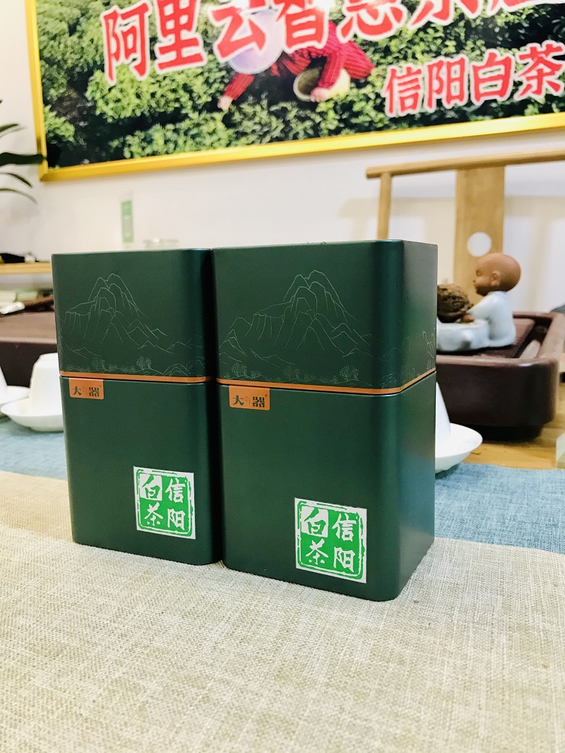 浉牌 信阳白茶 2022年浉河港特级润灵芽50克/罐 买五送一 简易铁罐装白茶