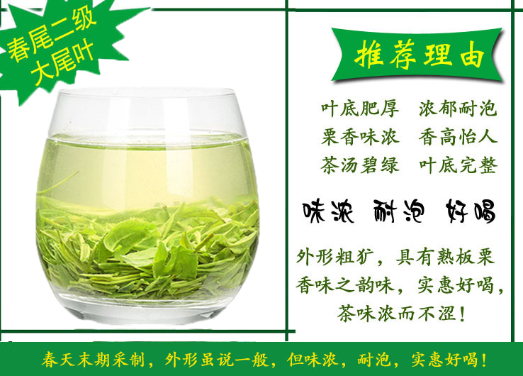 绿茶散装 茶叶批发 信阳毛尖2023新茶春尾二级 浉河港茶厂直销