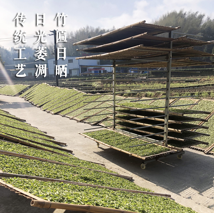 信阳白茶2024春茶 正宗浉河港核心产区白茶 明前二级润灵芽白茶批发