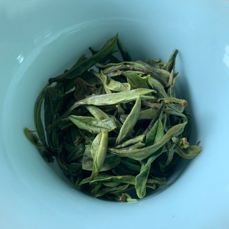 2024新茶信阳白茶散茶 明前一级润灵芽白茶浉河港大山茶散装 茶厂批发