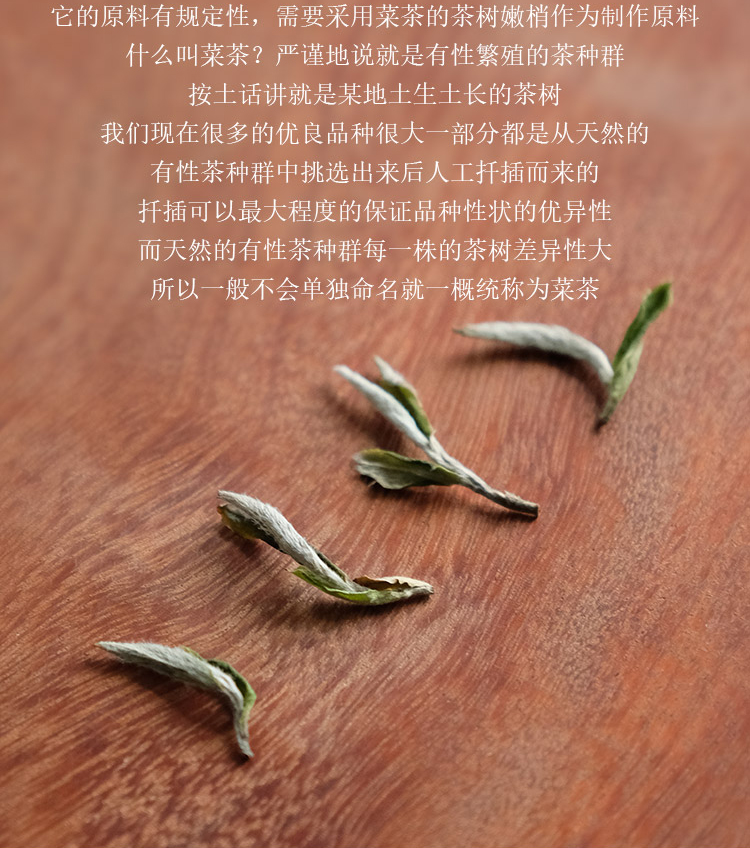 2024春茶信阳白茶新茶 雨前特级皛芽大山茶 浉河港核心产区直销