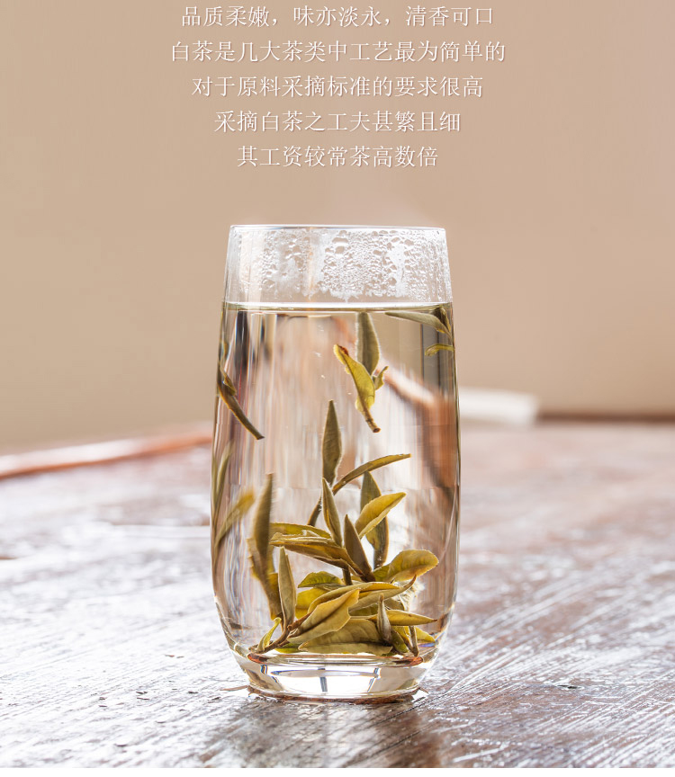 浉河港大山白茶 2024信阳白茶新茶 谷雨前一级润灵芽 茶厂批发